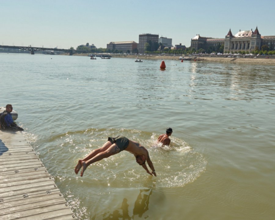 Rare Chance to Swim Across Danube in the Heart of Budapest