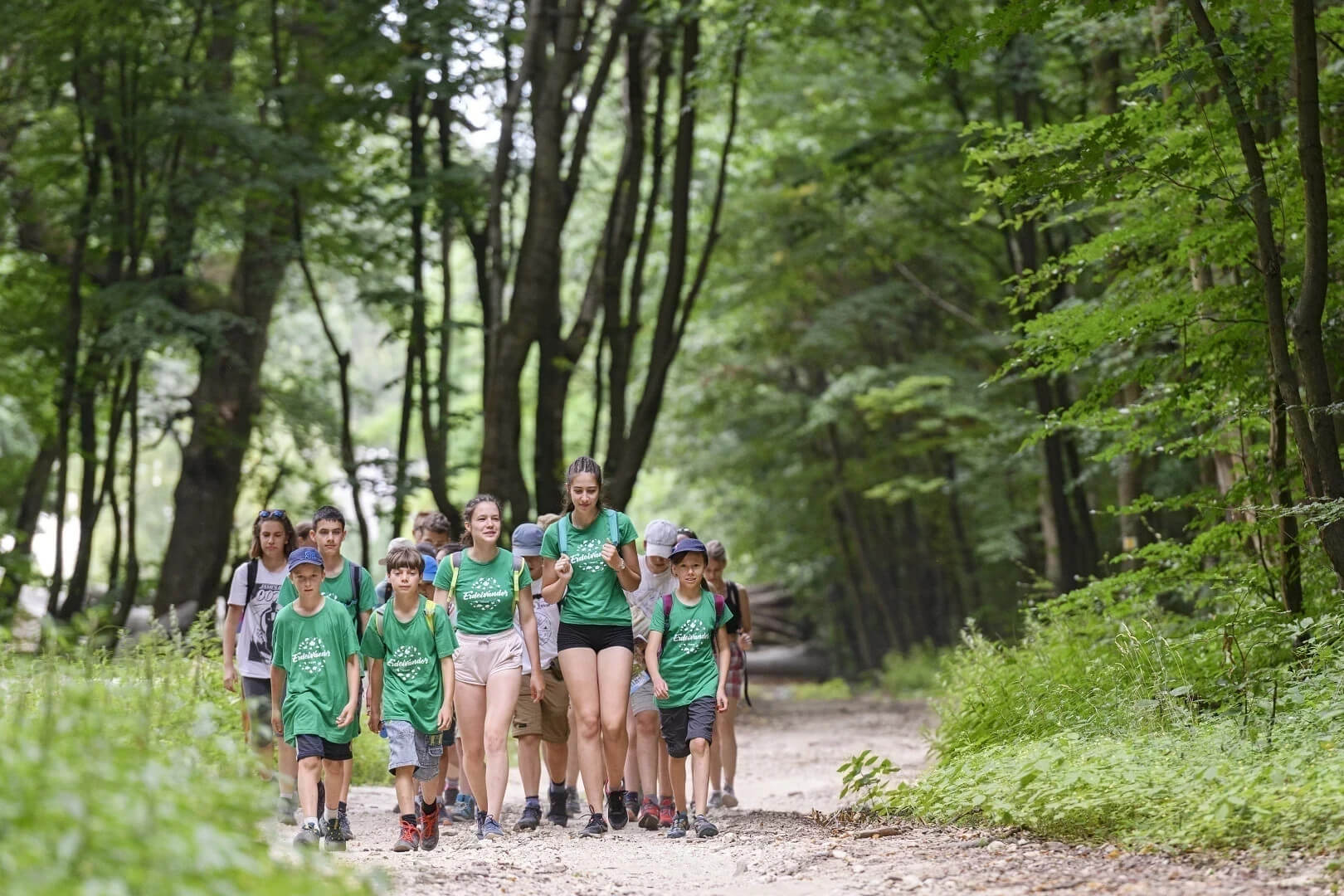 Night of the Forests: Free Buda Hills Guided Hike After Dark