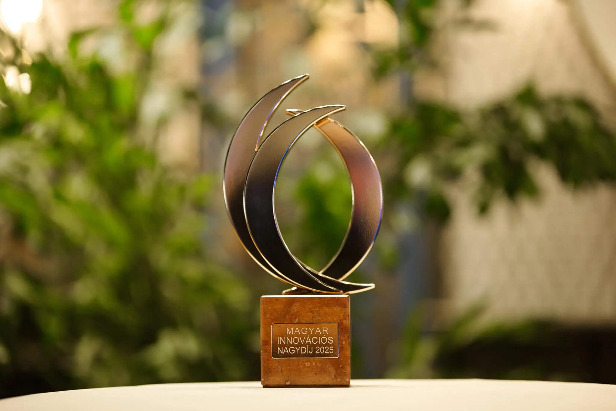 From Start-Ups to Students: Is this a New Golden Age for Hungary?