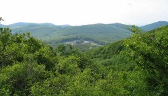 XpatLoop's Szent Orbán Day Event @ Szent Orbán Erdei Hotel