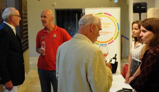 XpatLoop's 'Summer Social Event', Hilton Hotel Budapest, 14 July 2016