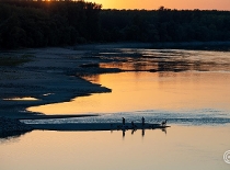 Danube Hits Record Low in Budapest