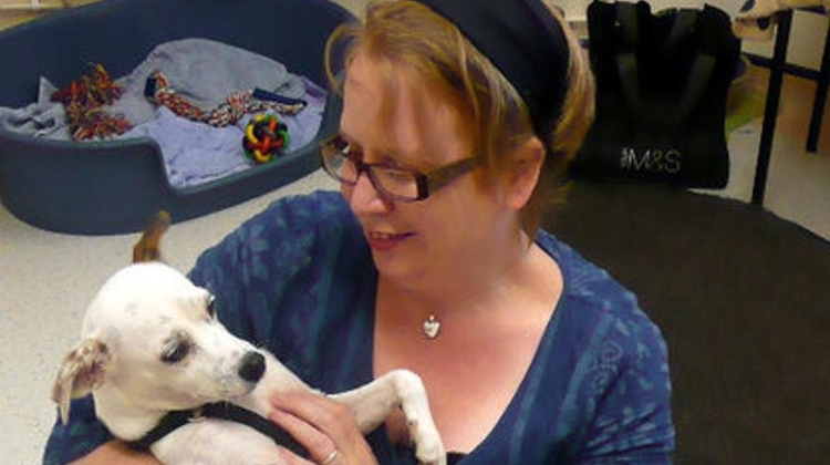 Xpat Interview: Eleanor Goold, Writer Xpat Interview: Eleanor Goold, Writer