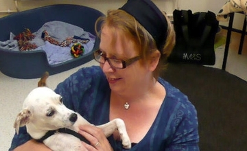 Xpat Interview: Eleanor Goold, Writer Xpat Interview: Eleanor Goold, Writer