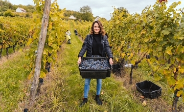 Pálma Koch, Winemaker, Koch Winery Pálma Koch, Winemaker, Koch Winery