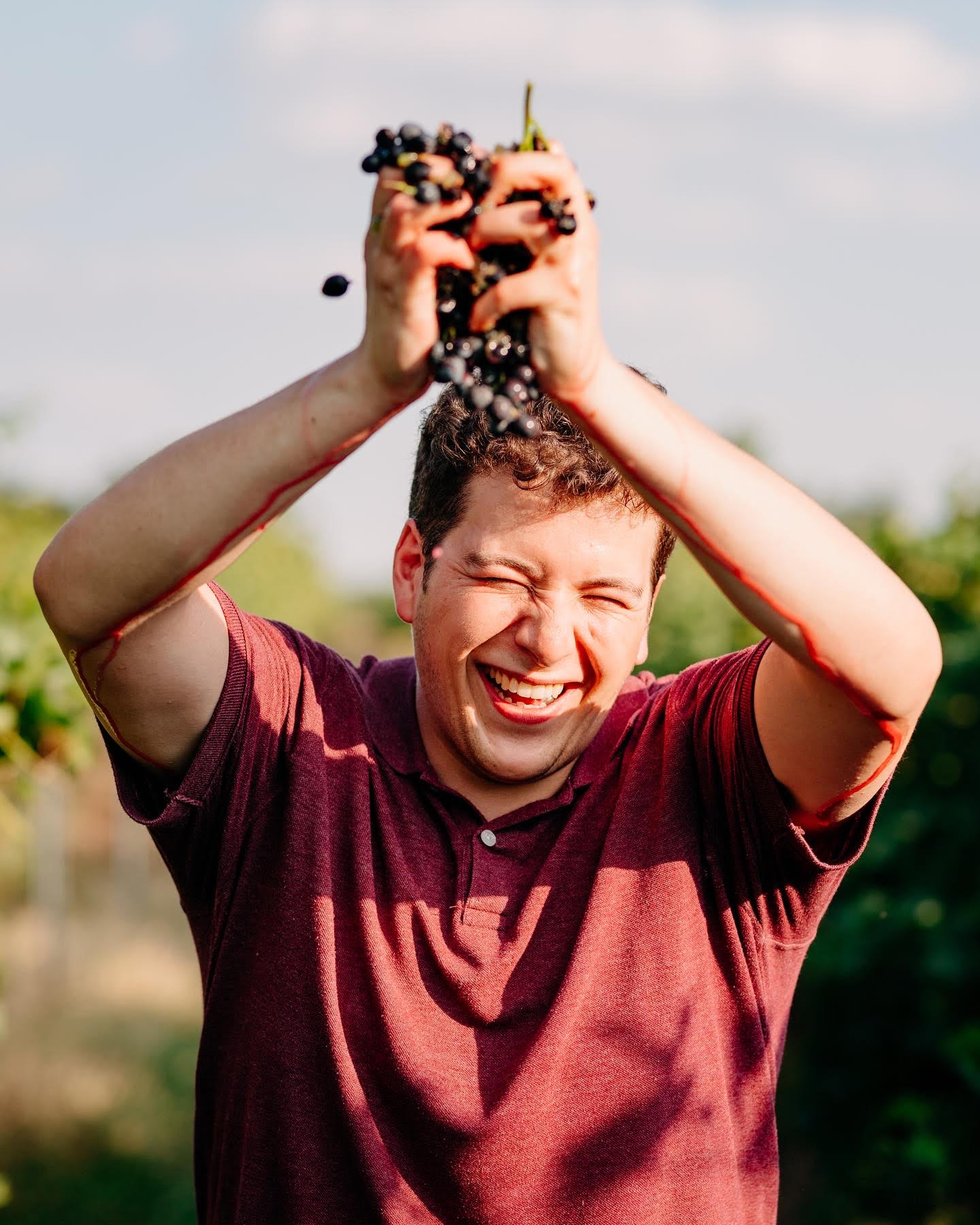 Gustavo Dominguez, Wine Maker, Koch Winery Hungary