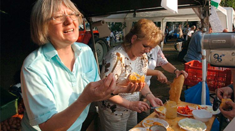 Ballot boxes replace barricades in Hungary protest