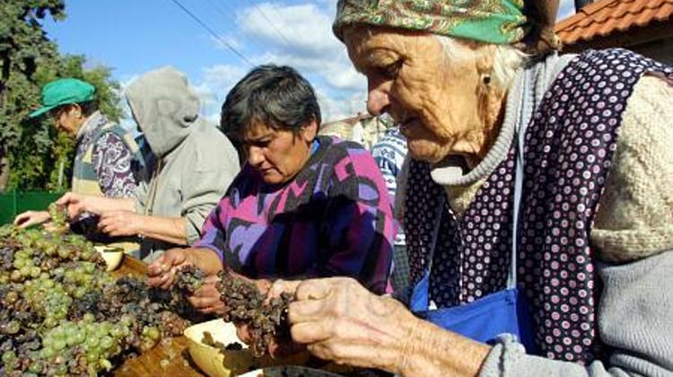 'Bianca Otero's Photo Exhibition', Treehugger Dan's Bookstore, Until June