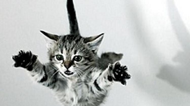 When The EUR Falls, Hungary's Forint Tends To Underperform CE3 Peers