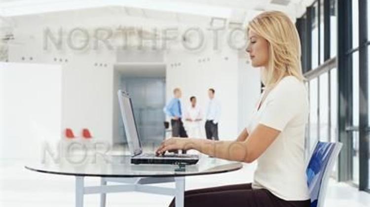 Computer Viruses In Hungary In February