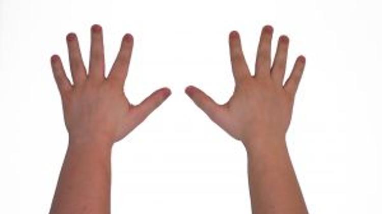 Hungary's Sziget Festival In The Top Ten