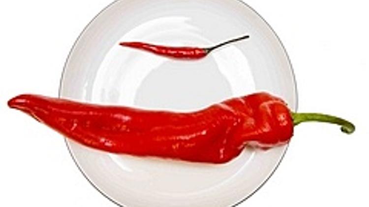 JPmorgan Sees Hungary's Forint At 250 vs EUR By End-2011