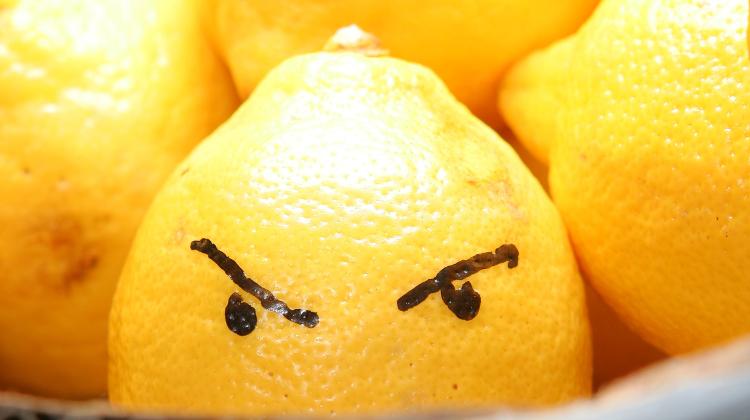 Hungarians Are Least Tolerant Of Drug Addicts And Alcoholics