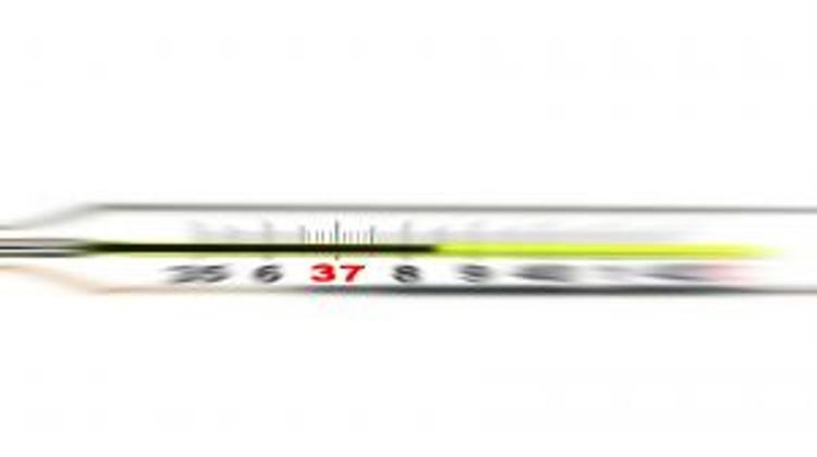 Hungarian Firm Catches International Fever