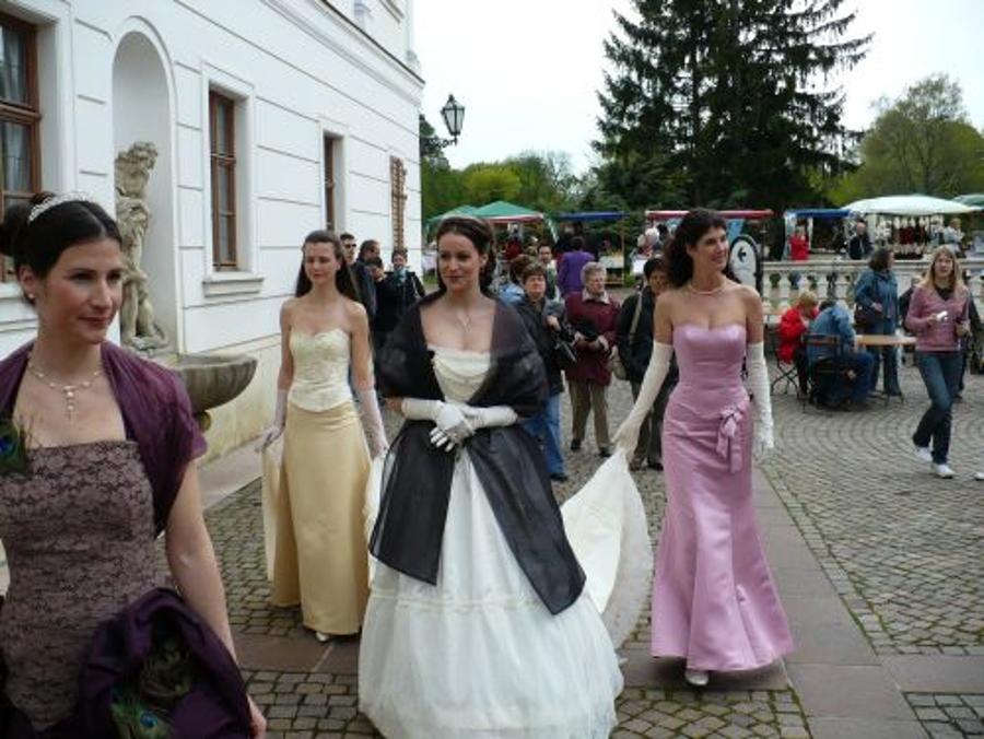 'Violet Day', Royal Palace Gödöllő, 4 April