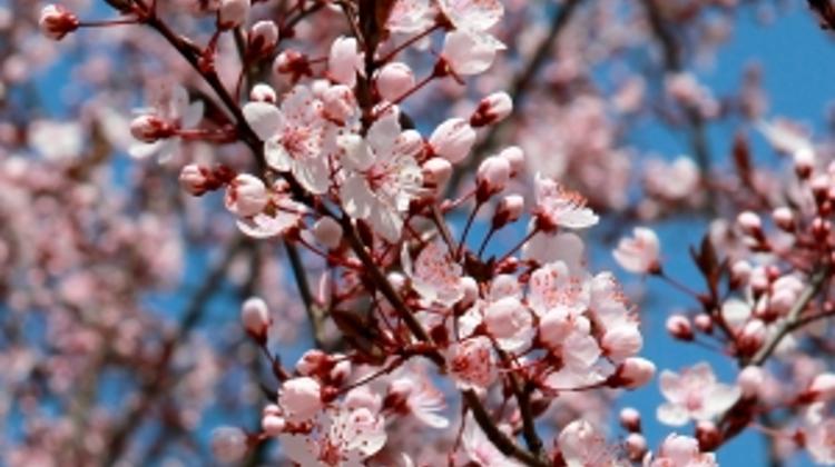 A Gorgeous Weekend In The Countryside