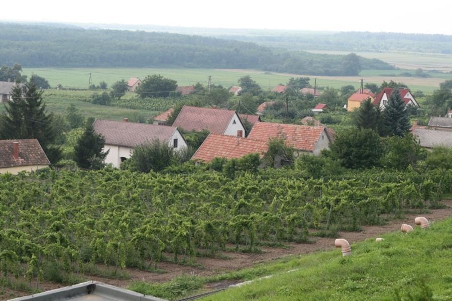 Wine Touring In Hungary