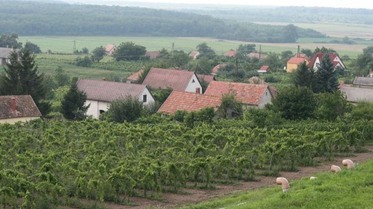 Wine Touring In Hungary