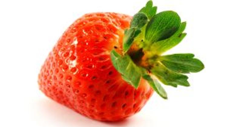 Special : Asparagus - Kohlrabi - Strawberry Festival At Olive's Restaurant