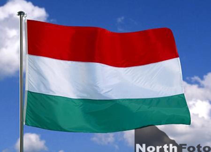 Hungary Middle-Ranking In IT Survey