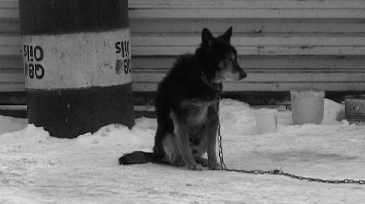 'Over The Counter', Budapest Műcsarnok, Shown Until 19 September