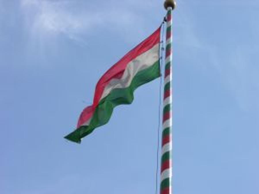 Hungary's Fidesz Activist Stabbed