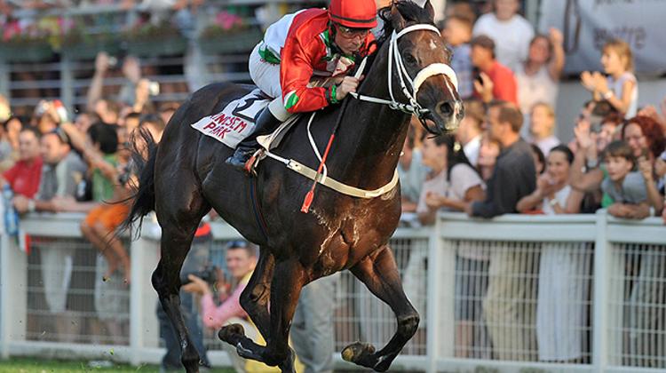 Hungarian Racehorse Overdose Suffers Its First Loss