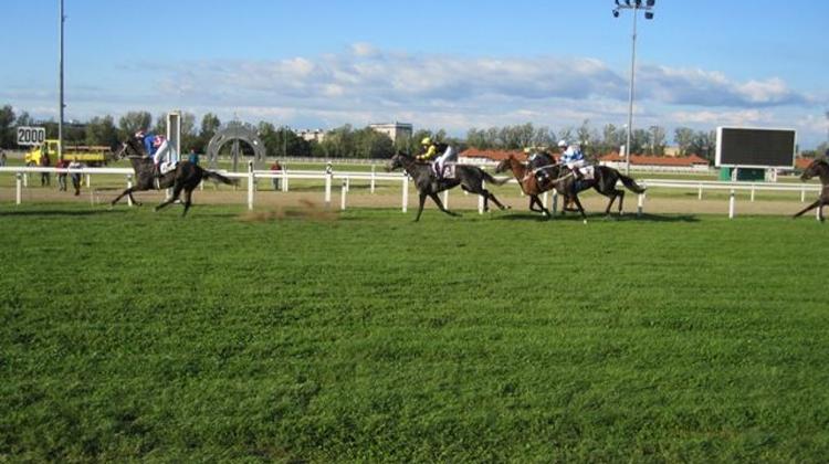 Xpat Review: At The Races In Budapest With Treehugger Dan