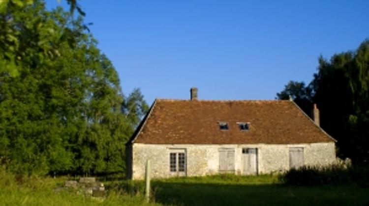 Video: Rural Hungary (1939)