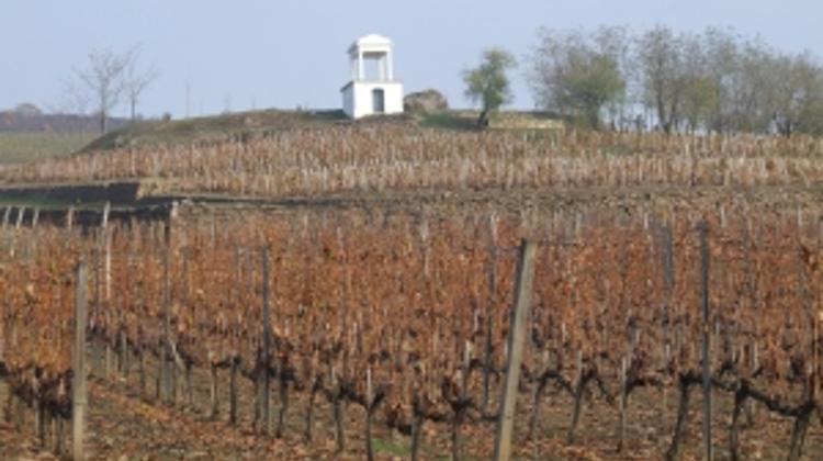 Royal Tokaji: The Renaissance of Tokaji (Wilson Daniels Films: Volume 1)