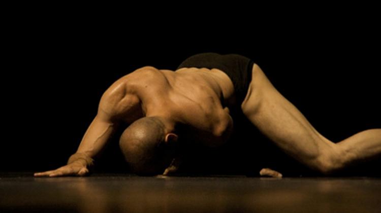 Ferenc Fehér: STiX 66 ,  Thália Theater, 16 October, 7.30 p.m.