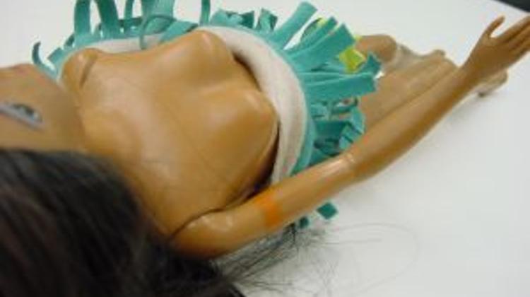 Pedophile Arrested In Budapest To Be Returned To US