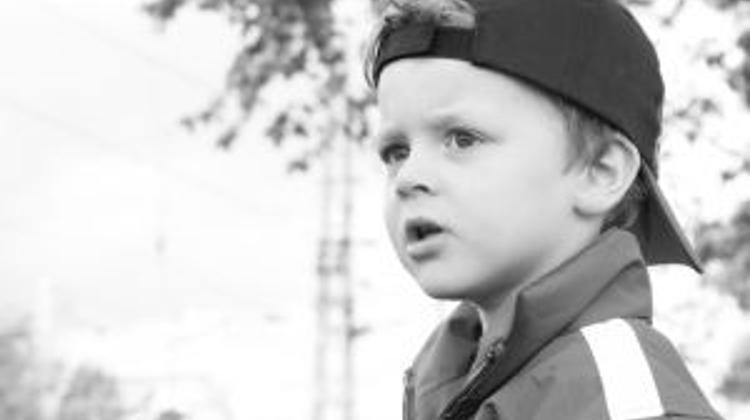 Suggested Test For Kindergarten Children In Hungary