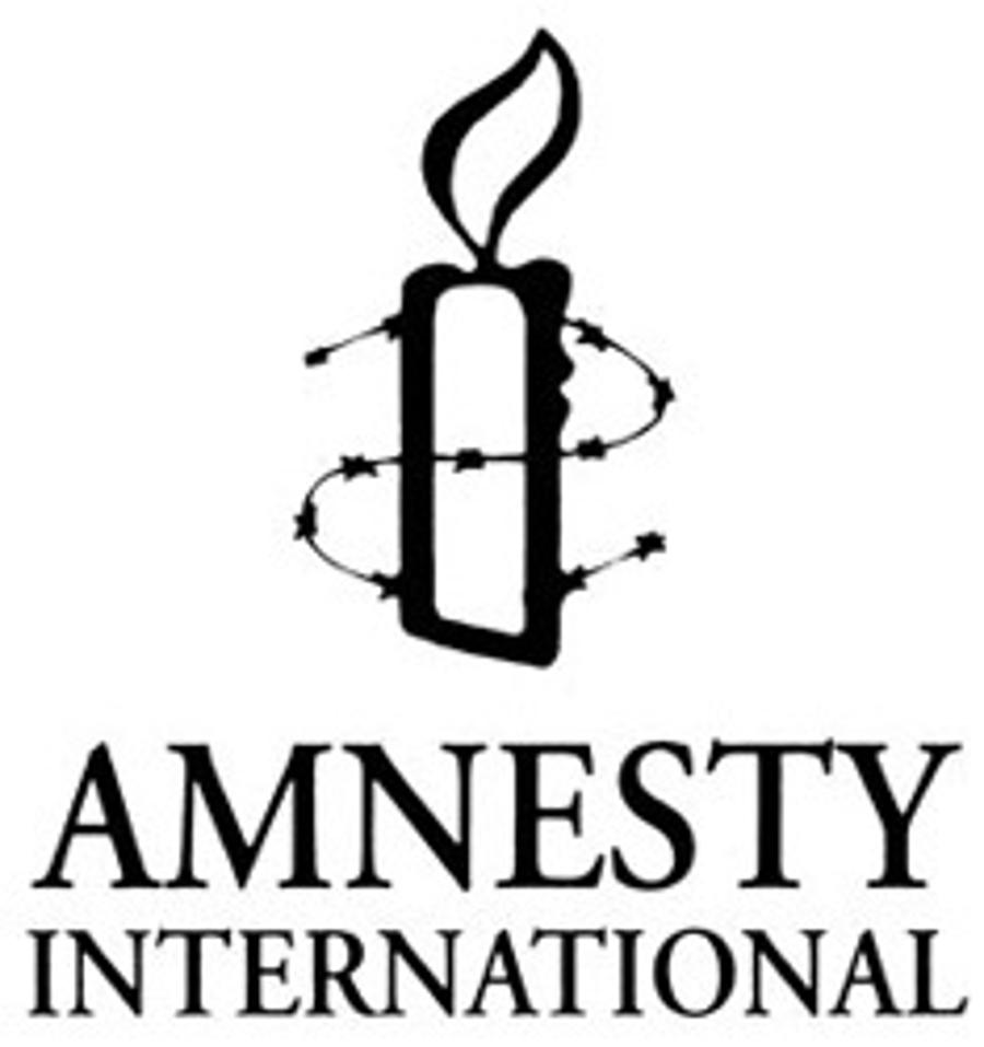 Amnesty Slams Hungary Over Roma