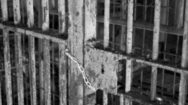 Hungarian Child Murderer Gets 19 Years