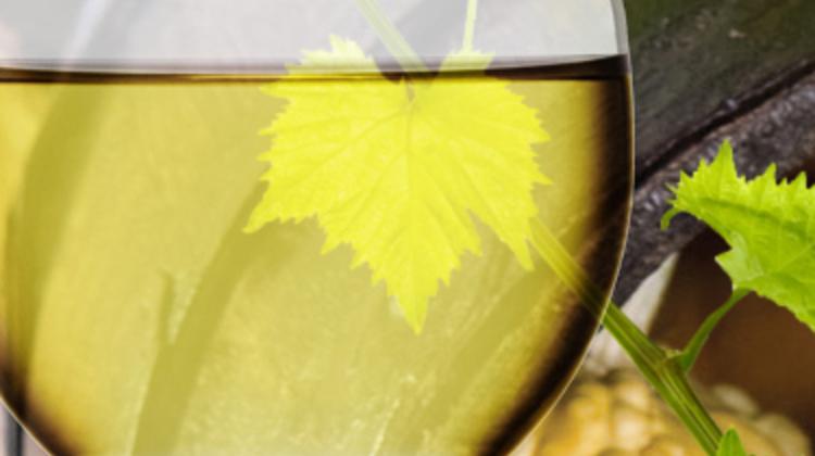 Wine Wednesdays In Hungary Until 10 November