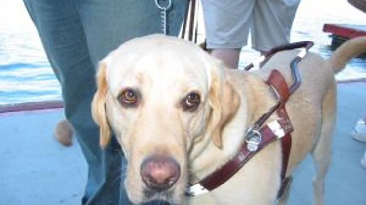 Hungarian Blind Man Wins Case Against Retailer