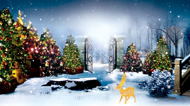 Forest of Angels, Budapest Hero's Square Until 6 January