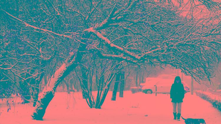 Heavy Snowfall Affects Flights In Budapest