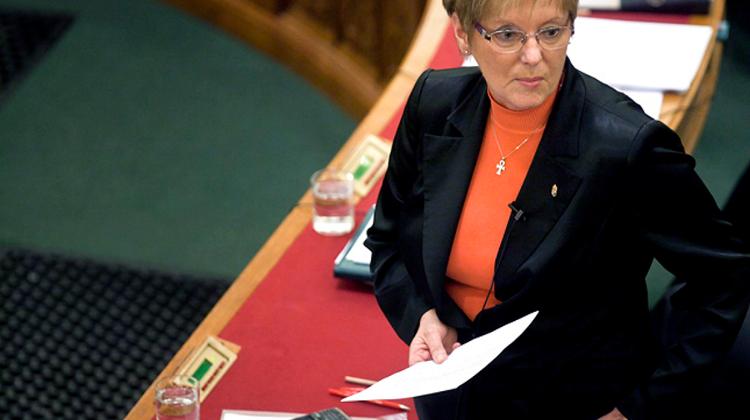 Hungarian Cabinet To Favour Medical Students