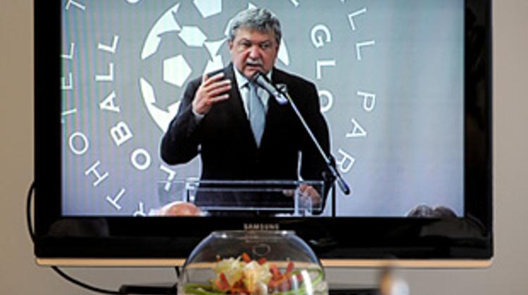 Hungarian Football Association President  Csányi Elected To FIFA Committees