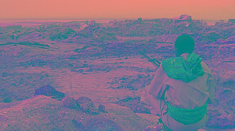 Ethiopia Attack Survivors Return To Hungary