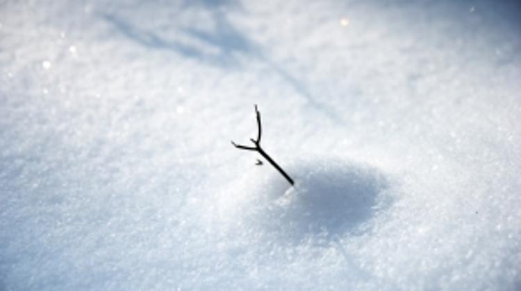 Over 50 Dead Of Exposure This Year In Hungary