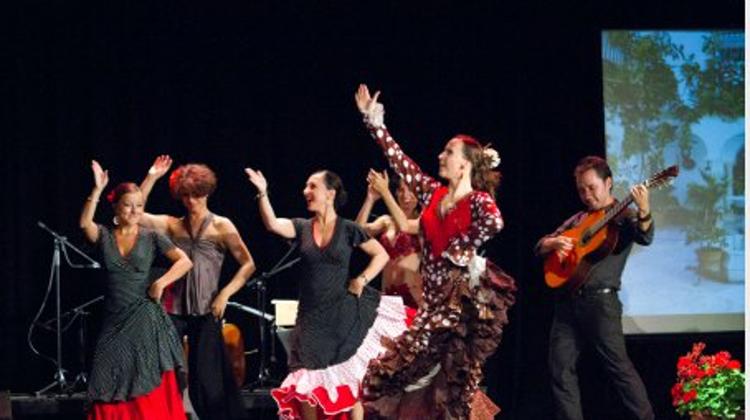 Invitation: Flamenco Evening From Seville, Millenáris Budapest, 24 February