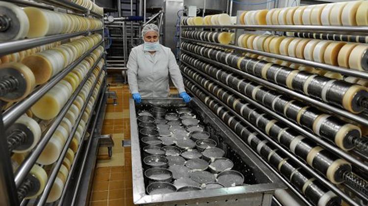 Hungarian Cheese Gains Popularity In Near East