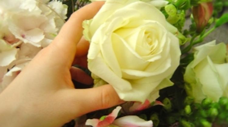 Information About International Women's Day Also Celebrated In Hungary