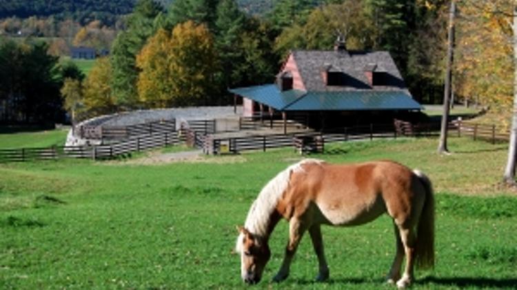 Hungary’s Equestrian Sector To Be Developed