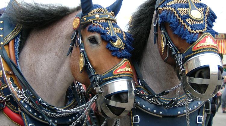 Getaway From Budapest To Munich With Ryanair