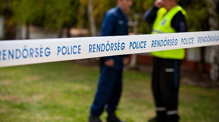 Man Massacres Family With Machete In Hungary