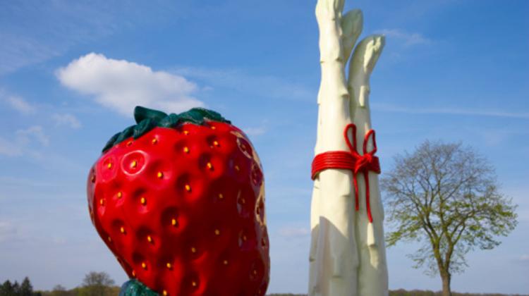 Hungarian Strawberry & Asparagus Dishes, Icon Restaurant,  Until 28 May